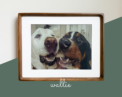 Premium Walnut Wood Wallie Frame with E-ink Display