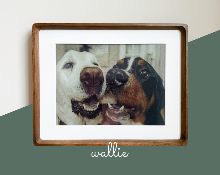 Wallie frame showing a beautiful high-definition photograph with paper-like quality